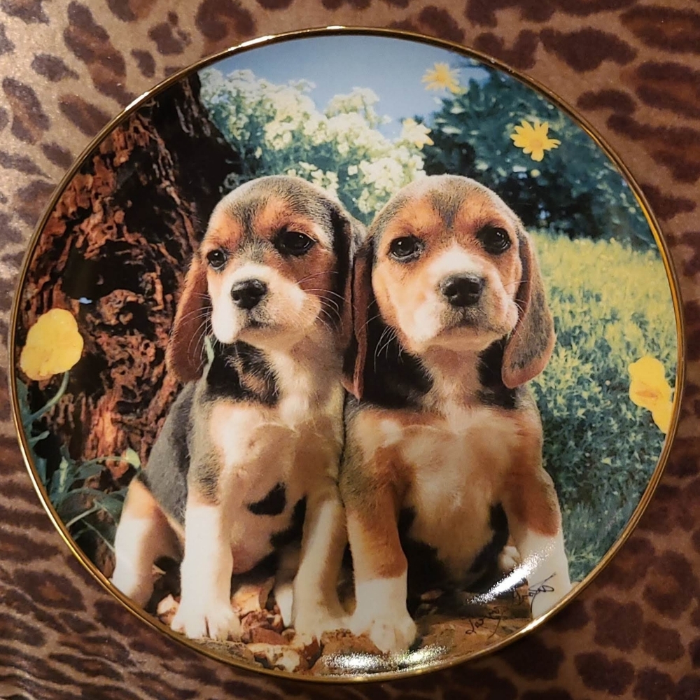 Spa-Europe Decorative Plates